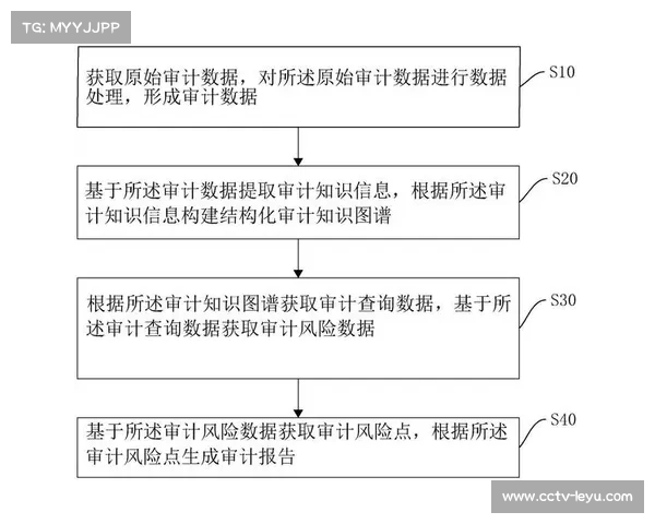 体育数字资产审计制度建立，保障交易透明度。