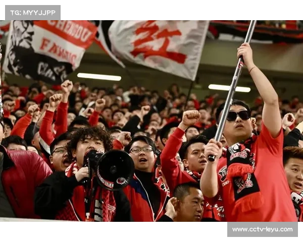 成都蓉城因球迷歧视言行被罚款50万元，部分看台遭处罚